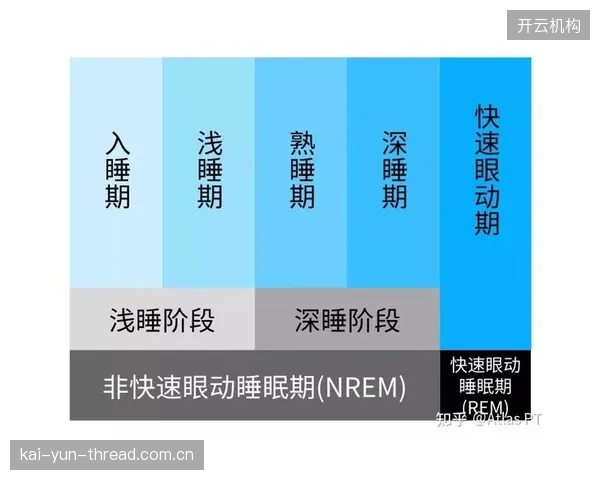 为克服跨时区飞行的影响，南非队理疗组将严格管理球员的睡眠周期，确保生理机能的稳定。
